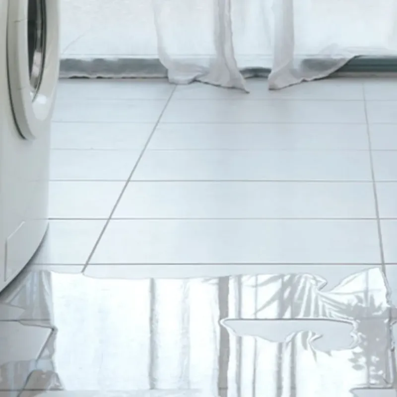 Appliance Leak Cleanup in Ogle County, IL