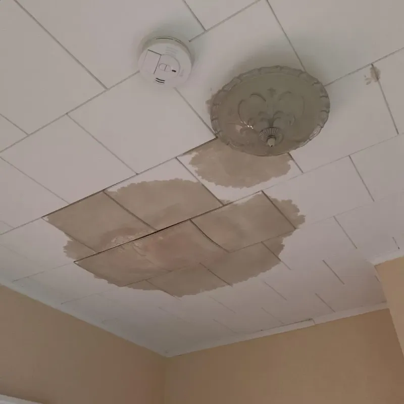 Ceiling Water Damage Repair in Ogle County, IL